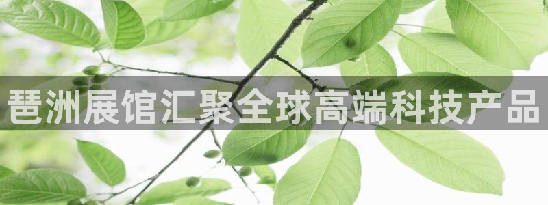 果博注册账号链接：琶洲展馆汇聚全球高端科技产品