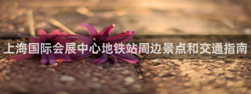 果博官网客服电话号码是多少：上海国际会展中心地铁站周边景点和交通指南