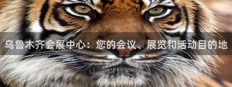 果博官网电话：乌鲁木齐会展中心：您的会议、展览和活动目的地