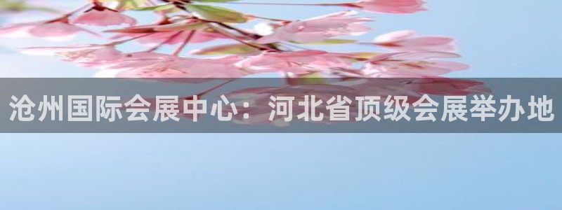 下载果博：沧州国际会展中心：河北省顶级会展举办地