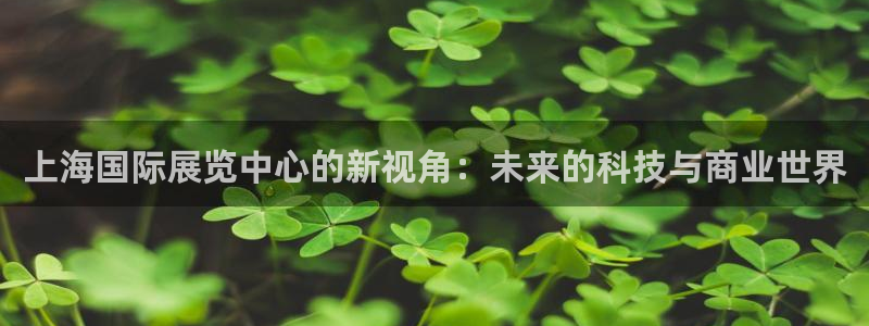 果博注册客服电话：上海国际展览中心的新视角：未来的科技与商业世界