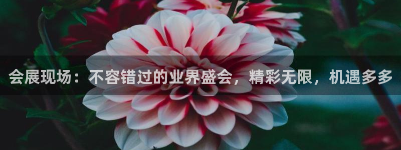 果博公司电话：会展现场：不容错过的业界盛会，精彩无限，机遇多多
