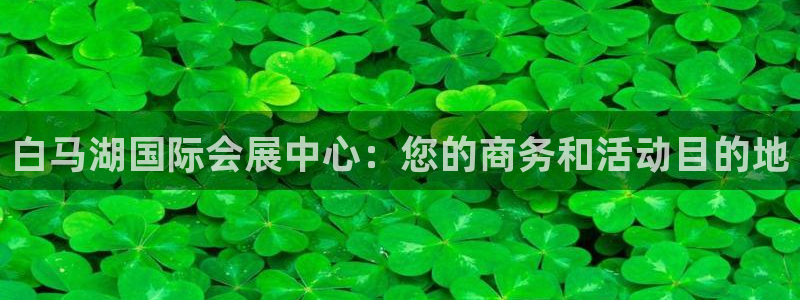 果博公司会员注册账号开户：白马湖国际会展中心：您的商务和活动目的地
