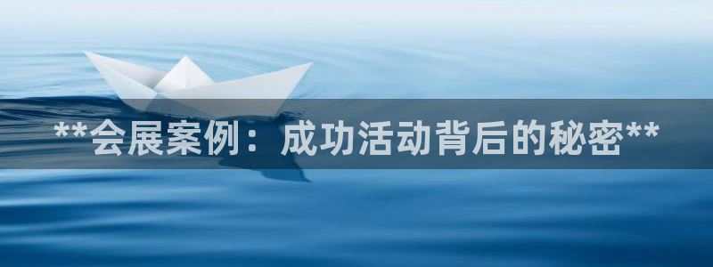 果博注册平台怎么注册不了：**会展案例：成功活动背后的秘密**
