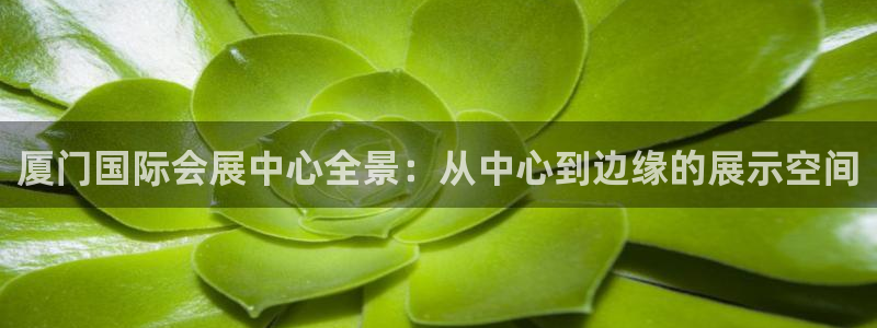 果博手机版官方下载：厦门国际会展中心全景：从中心到边缘的展示空间