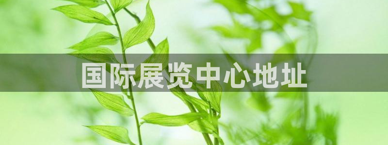 果博公司怎么注册会员：国际展览中心地址