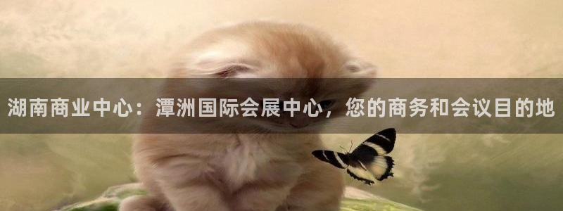 果搏代理：湖南商业中心：潭洲国际会展中心，您的商务和会议目的地