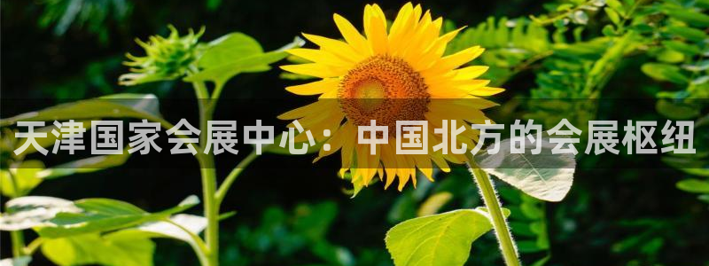 果博公司客服微信公众号：天津国家会展中心：中国北方的会展枢纽