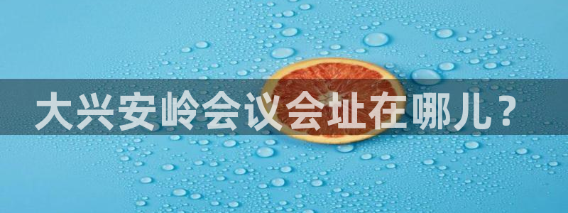 果博公司开户注册：大兴安岭会议会址在哪儿？