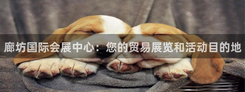 果博注册账号链接：廊坊国际会展中心：您的贸易展览和活动目的地