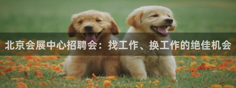 果博平台怎么下载?：北京会展中心招聘会：找工作、换工作的绝佳机会