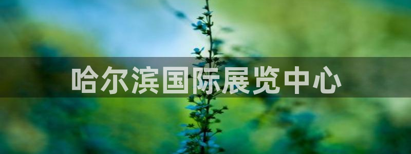 果博平台开户电话是多少：哈尔滨国际展览中心