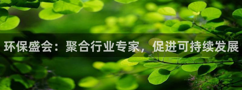 果博平台苹果电脑怎么下载：环保盛会：聚合行业专家，促进可持续发展