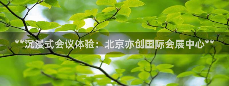 果博客服微信是多少：**沉浸式会议体验：北京亦创国际会展中心**
