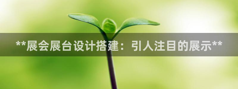 下载果博app：**展会展台设计搭建：引人注目的展示**