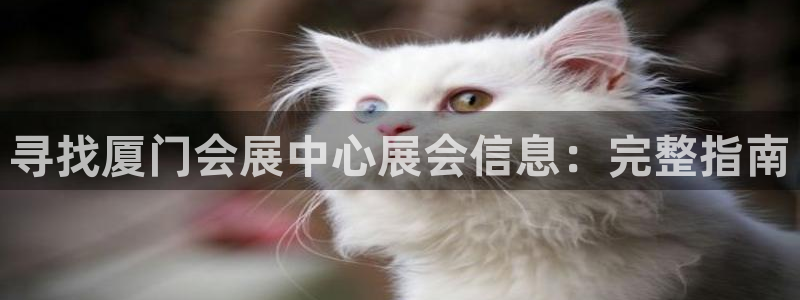果博东手机版下载开户：寻找厦门会展中心展会信息：完整指南