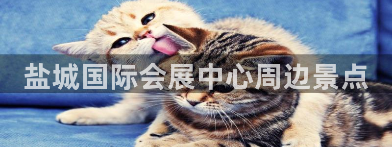 果搏东方客服：盐城国际会展中心周边景点