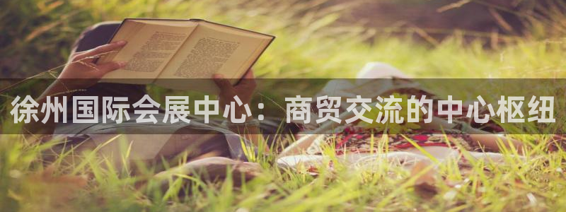 果博公司会员账号开户：徐州国际会展中心：商贸交流的中心枢纽