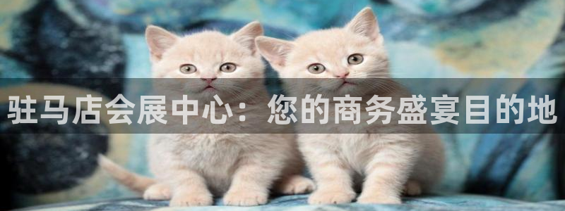 果博公司客服联系方式