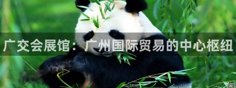果博公司开户注册：广交会展馆：广州国际贸易的中心枢纽