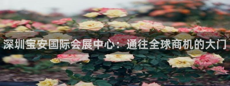 果博电话：深圳宝安国际会展中心：通往全球商机的大门