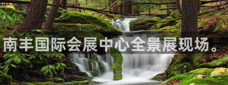 果博公司游戏网址：南丰国际会展中心全景展现场。