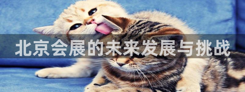 果博平台开户电话号码：北京会展的未来发展与挑战