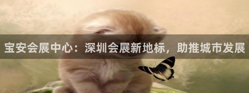 果博客服联系电话：宝安会展中心：深圳会展新地标，助推城市发展