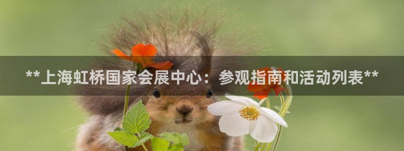 果博官网电话：**上海虹桥国家会展中心：