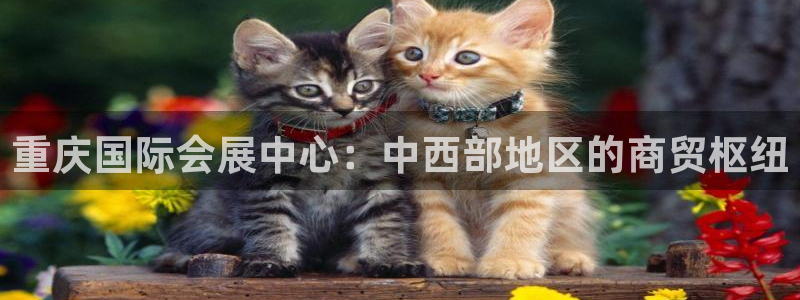 果博注册客服电话是多少：重庆国际会展中心：中西部地区的商贸枢纽