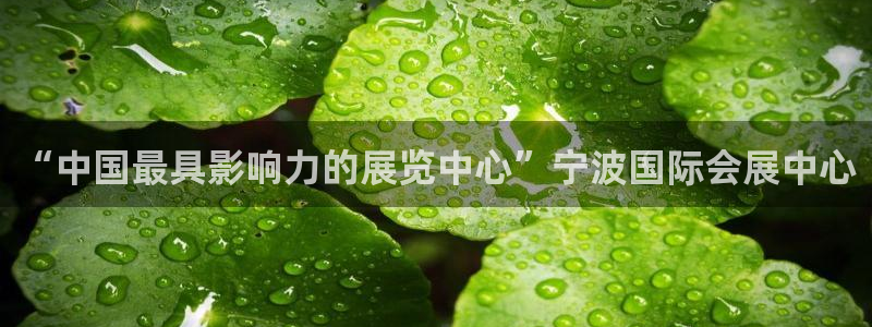 果博注册充值：“中国最具影响力的展览中心”宁波国际会展中心