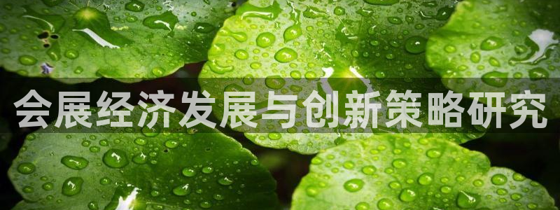 果博注册链接：会展经济发展与创新策略研究