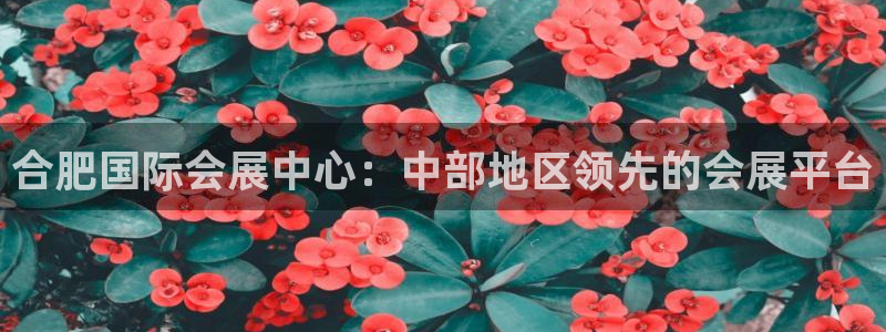 果博app官网下载：合肥国际会展中心：中部地区领先的会展平台