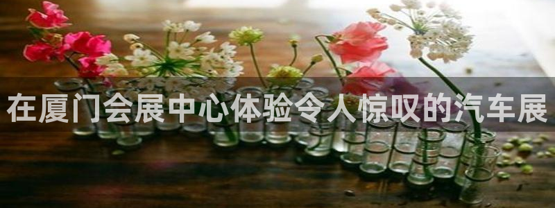 果博客服电话哪里找：在厦门会展中心体验令人惊叹的汽车展