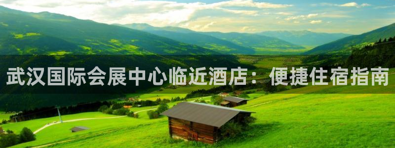 下载果博博东方：武汉国际会展中心临近酒店：便捷住宿指南