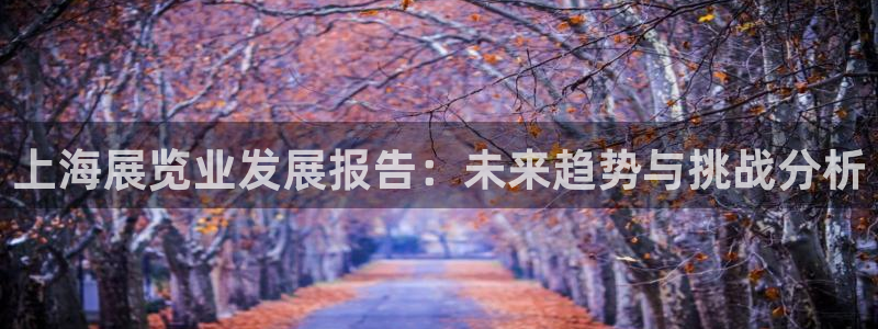 果博账号注册：上海展览业发展报告：未来趋势与挑战分析