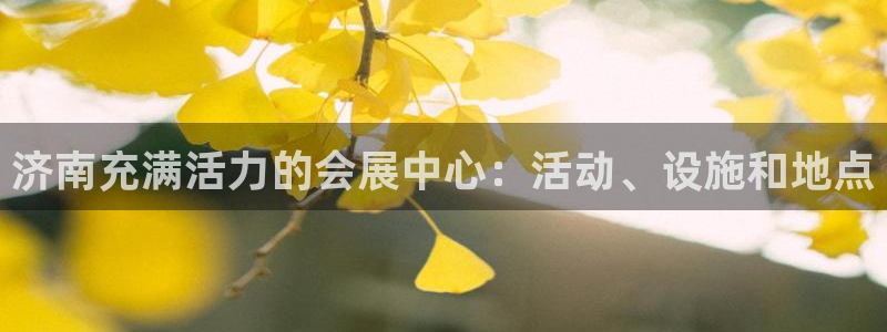 果搏代理：济南充满活力的会展中心：活动、设施和地点