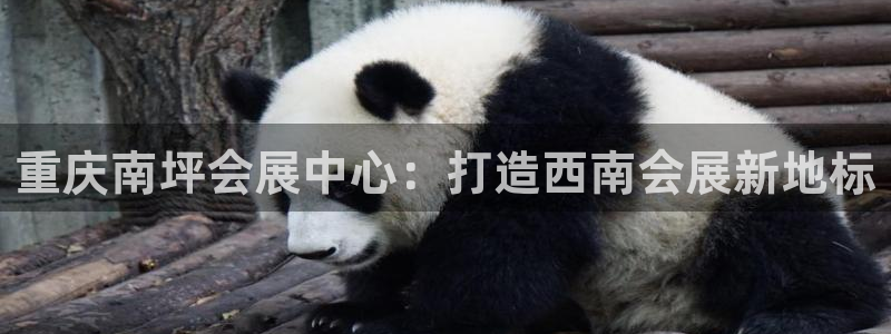 果博平台真实吗安全吗可信吗是真的吗：重庆南坪会展中心：打造西南会展新地标