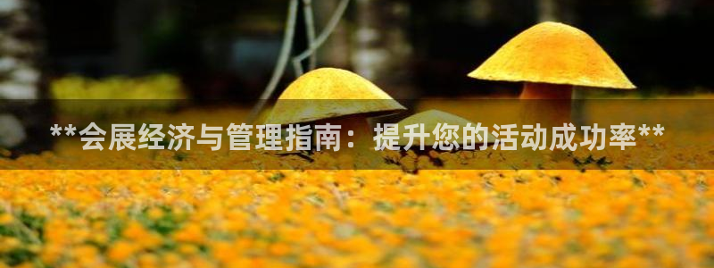 果博平台开户电话是多少：**会展经济与管理指南：提升您的活动成功率**