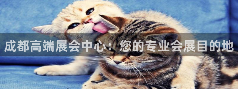 果博公司开户注册：成都高端展会中心：您的专业会展目的地