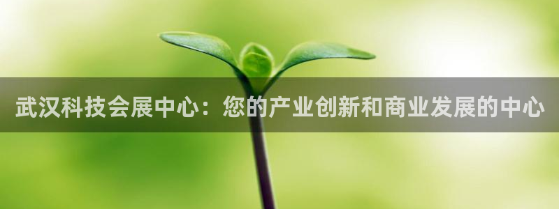 果博平台真实吗安全吗可信吗安全吗：武汉科技会展中心：您的产业创新和商业发展的中心