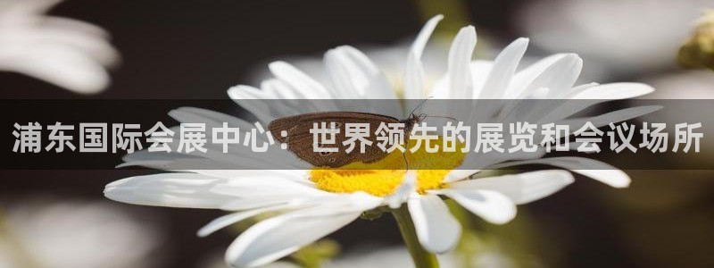 果博服务电话：浦东国际会展中心：世界领先的展览和会议场所