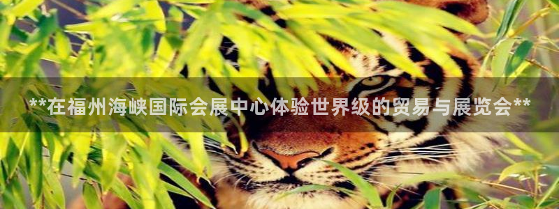 果博平台赖不赖：**在福州海峡国际会展中