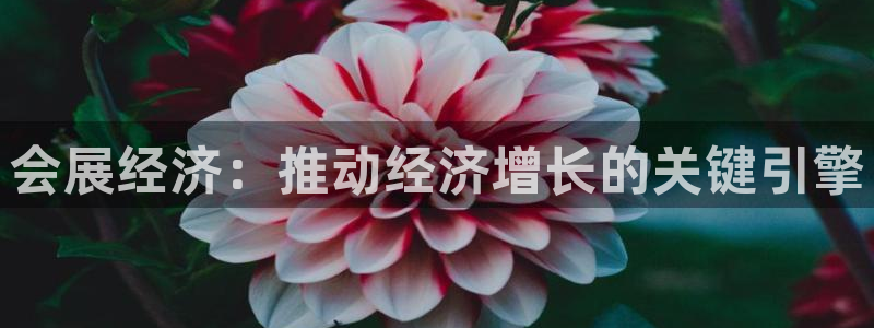 果博公司怎么注册会员：会展经济：推动经济增长的关键引擎