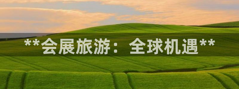果博环保公司：**会展旅游：全球机遇**