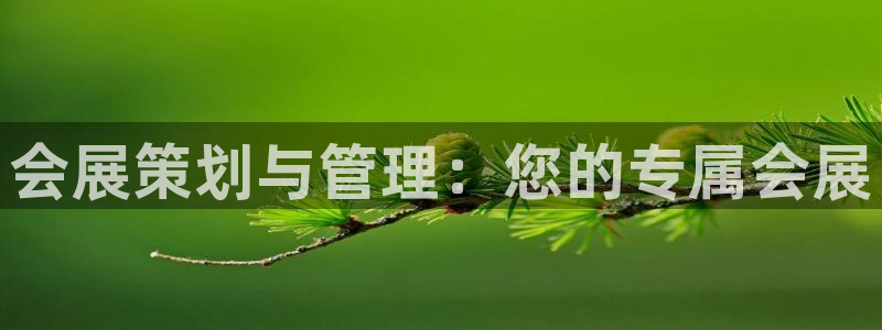 电脑怎么下载果考网：会展策划与管理：您的专属会展