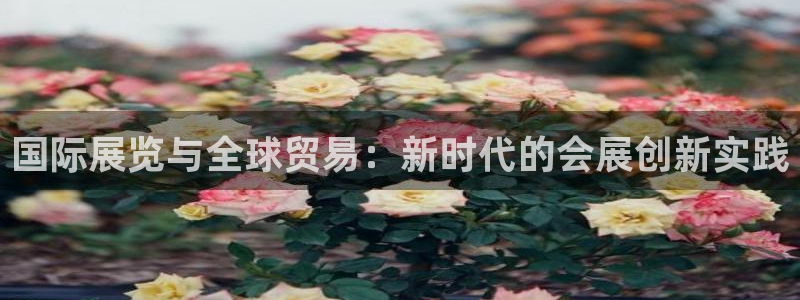 果博公司开户注册：国际展览与全球贸易：新时代的会展创新实践