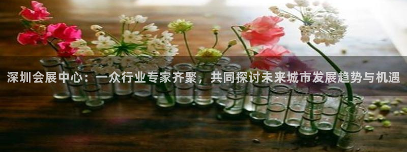 果博公司客服微信：深圳会展中心：一众行业专家齐聚，共同探讨未来城市发展趋势与机遇