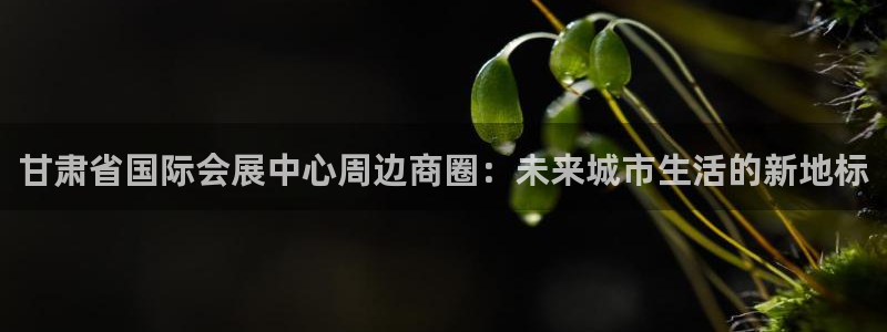 苹果电脑可以下载博易大师吗：甘肃省国际会展中心周边商圈：未来城市生活的新地标