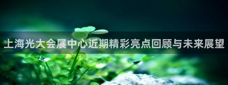 苹果电脑怎么下载博弈大师等软件：上海光大会展中心近期精彩亮点回顾与未来展望